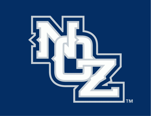 New Orleans Zephyrs 2010-2016 Cap Logo vinyl decal